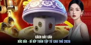 Cách bắt cầu xóc đĩa