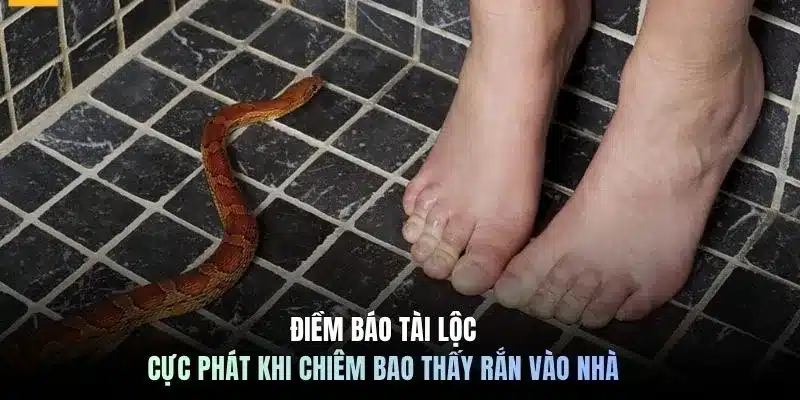 Điềm báo tài lộc cực phát khi chiêm bao thấy rắn vào nhà