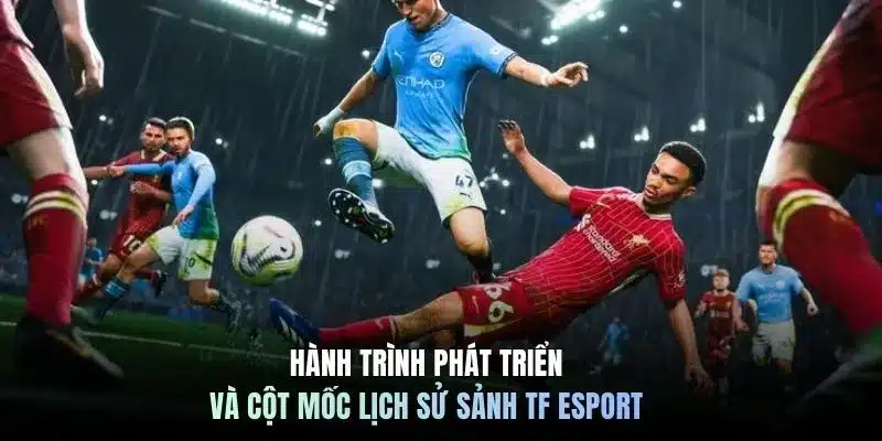 Hành trình phát triển và cột mốc lịch sử sảnh TF Esport