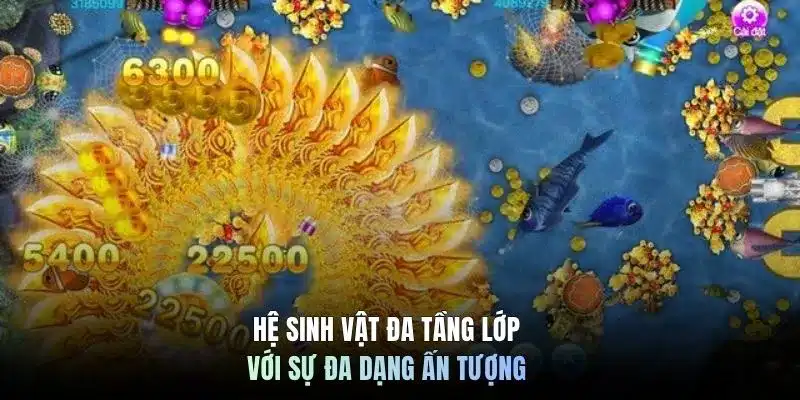 Hệ sinh vật đa tầng lớp với sự đa dạng ấn tượng