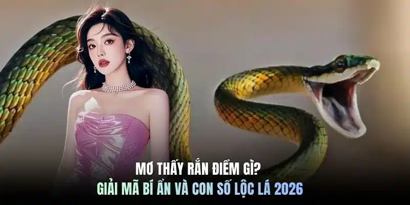 Mơ thấy rắn