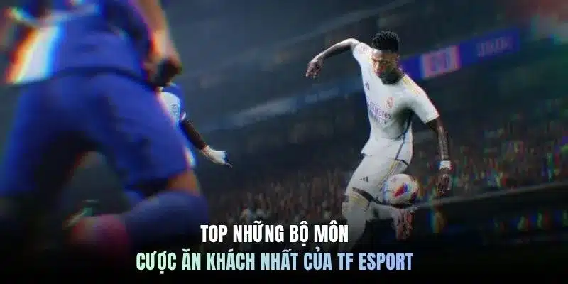 Top những bộ môn cược ăn khách nhất của TF Esport